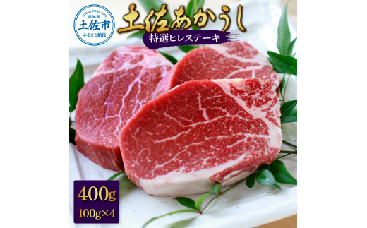 土佐和牛特選ヒレ肉400g 特製ソース2種付[ステーキ用]