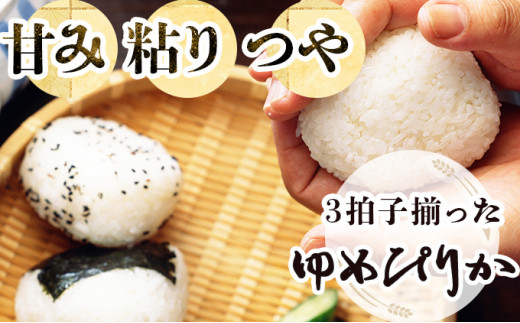 北海道岩見沢市のふるさと納税 令和5年産！【定期便】『100%自家生産精米』善生さんの自慢の米 ゆめぴりか５kg　６か月　（全６回）【06115】