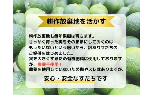 徳島県佐那河内村のふるさと納税 [№5852-0474]訳あり【Ｂ級】露地スダチ2kg　※9月中旬頃から発送　※離島不可　［すだち 佐那河内産 徳島県産 訳あり 柑橘 無農薬 刺身 魚 ジャム ぽん酢 ポン酢 焼酎 有機栽培 不揃い 1キロ 2キロ 家庭用 果汁 高評価］