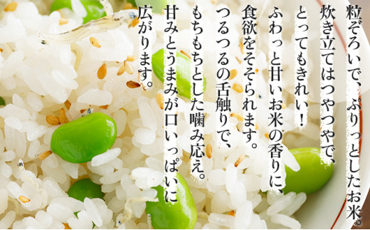 北海道岩見沢市のふるさと納税 令和5年産！【定期便】『100%自家生産精米』善生さんの自慢の米 ゆめぴりか５kg　６か月　（全６回）【06115】