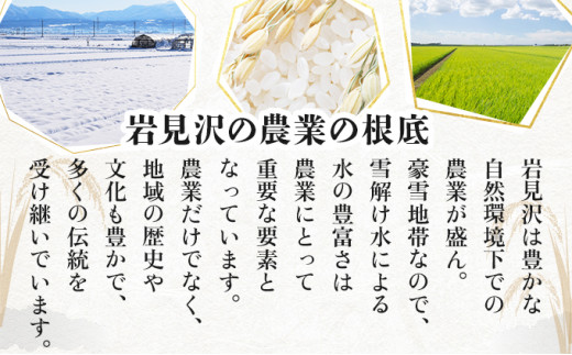 北海道岩見沢市のふるさと納税 令和5年産！【定期便】『100%自家生産精米』善生さんの自慢の米 ゆめぴりか５kg　６か月　（全６回）【06115】