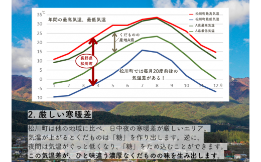 長野県松川町のふるさと納税 KW06-24A 梨 南水 約5kg（8～14玉）松川町産 贈答／9月下旬頃～配送予定 // 南信州産 長野県 和梨 なし ナシ 約5㎏ 南水 農家直送 農家支援