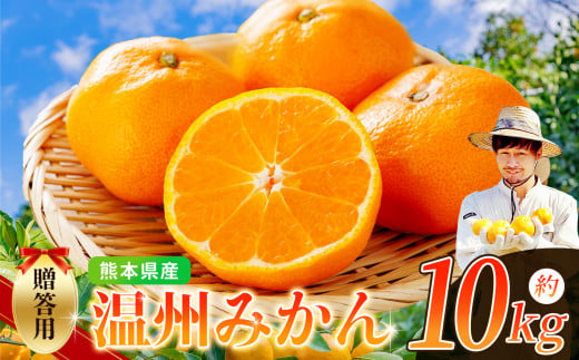ノナカ柑橘農園 の 温州みかん 10kg | フルーツ 果物 くだもの 柑橘 みかん ミカン 温州ミカン 熊本県 玉名市