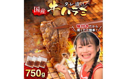 国産 特製たれ漬 牛ハラミ サガリ 750g JX003-3