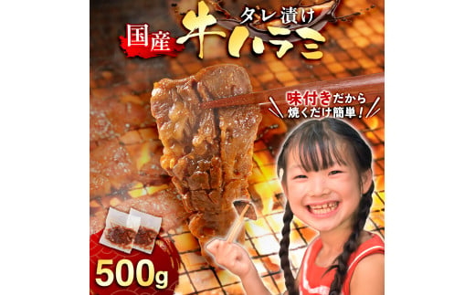 国産 特製たれ漬 牛ハラミ サガリ 500g JX003-2