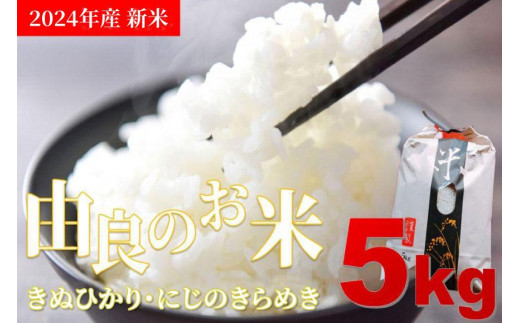 新米 2024年産 令和6年度産 キヌヒカリ にじのきらめき 5kg 和歌山県由良町産 1028408 - 和歌山県由良町