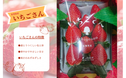 [先行予約]佐賀県産「いちごさん」250g~270g×4パック