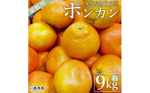 ＜愛媛県西予市産 ポンカン 約9kg 家庭用＞ 訳あり ワケアリ 果物 くだもの ミカン 蜜柑 柑橘 ぽんかん おいしい フルーツ サイズ不揃い ご自宅用 果実 果肉 ジューシー 特産品 段畑みかん 愛媛県 西予市【常温】 348927 - 愛媛県西予市