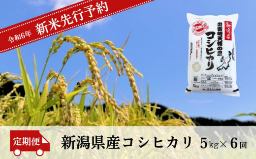 【先行予約】 新米 新潟県産 コシヒカリ 定期便 5kg 6か月 (10月以降発送予定)  出雲崎町産 「天領の里」 令和6年産 白米 精米 お米 合計30kg　 1427142 - 新潟県出雲崎町