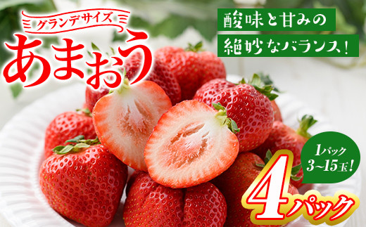 いちごの王様 あまおう グランデサイズ(4パック・1パック：3玉～15玉入り) 苺 フルーツ 果物 数量限定 冷蔵 ＜離島配送不可＞【ksg1296】【よっちゃんファーム】