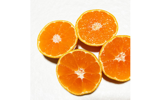 AT6261n_【訳あり】 有田みかん約4kgサイズ混合 【湯浅町】 【ミカン 蜜柑 柑橘 温州みかん 有田みかん 和歌山】