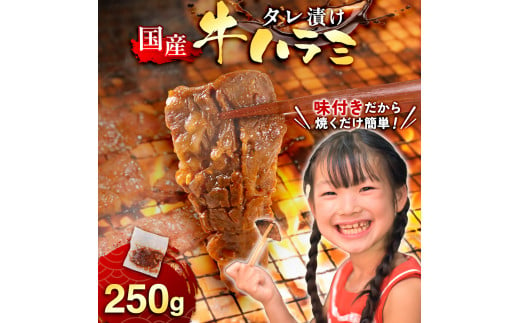 国産 特製たれ漬 牛ハラミ サガリ 250g JX003-1