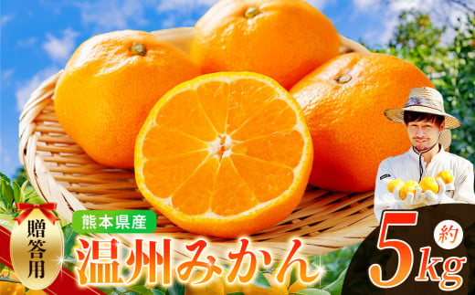 ノナカ柑橘農園 の 温州みかん 5kg | フルーツ 果物 くだもの 柑橘 みかん ミカン 温州ミカン 熊本県 玉名市