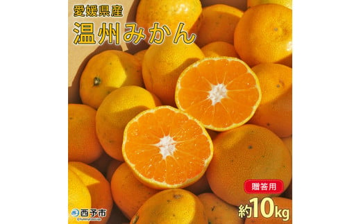 ＜愛媛県西予市産 温州みかん 贈答用 約10kg＞ ギフト 果物 くだもの ミカン 蜜柑 柑橘 フルーツ 特産品 段畑みかん 愛媛県 西予市【常温】 1005632 - 愛媛県西予市