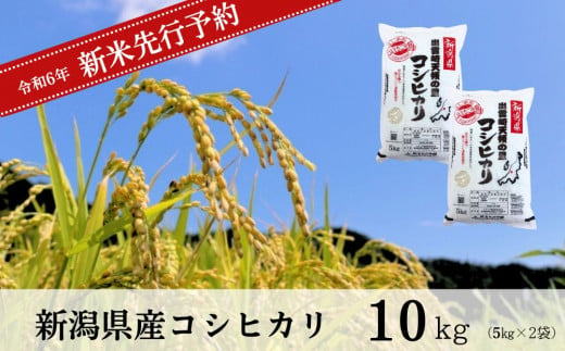 【先行予約】 新米 新潟県産 コシヒカリ 10㎏ (10月以降発送予定)  出雲崎町産 「天領の里」 令和6年産 白米 精米 お米 1427141 - 新潟県出雲崎町