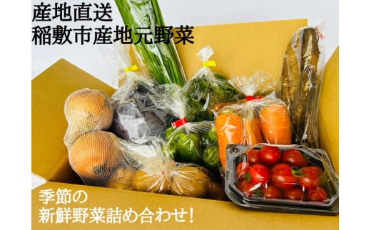 【2602-0096】稲敷産・地元野菜の食育のお便り便-1.jpg