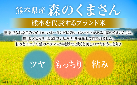 先行予約】 【令和6年産】 ≪新米≫ 熊本県産 森のくまさん10kg（10kg×1袋）お米ひとすじ八代食糧！ オリジナルパッケージ 【2024年10月中旬より順次発送】  - 熊本県八代市｜ふるさとチョイス - ふるさと納税サイト