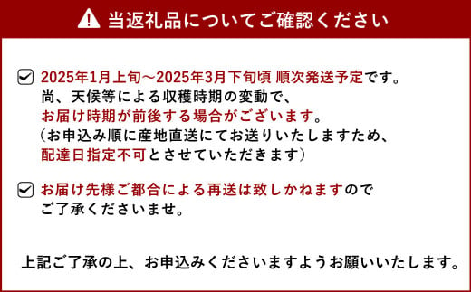 宇城市産 完熟不知火(化粧箱入り) 約3kg 髙橋果樹園