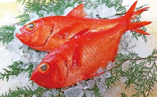 千葉ブランド水産物に認定されている「外房つりきんめ鯛」
脂の乗った肉厚で引き締まった身は、濃いめの味付けにぴったり。