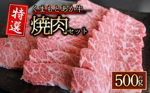【GI認証】くまもとあか牛　特選焼肉用　500g 桜屋 熊本県 阿蘇市