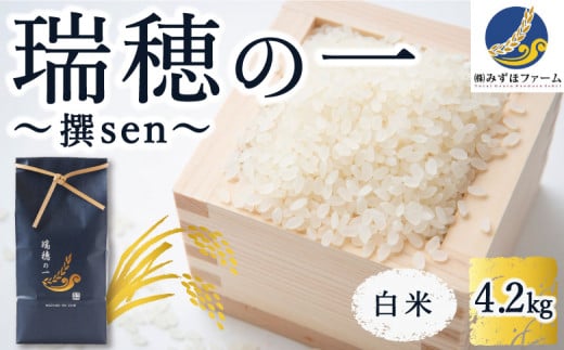 みずほファーム「瑞穂の一 “撰sen”」白米4.2kg 2024年10月20日より順次出荷予定 264349 - 福岡県うきは市