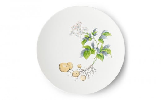 [伊万里焼/畑萬陶苑]Restaurant MAISON(Paris)φ29cm Plate[Potatoes]