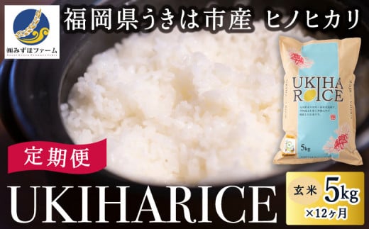 【定期便】みずほファーム UKIHA RICE (玄米5kg×12ヶ月) 1111933 - 福岡県うきは市