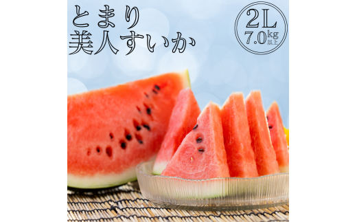 19SK.【2025年先行受付】とまり美人西瓜 2L 1985424 - 鳥取県湯梨浜町
