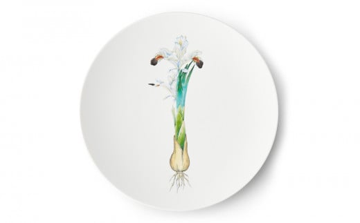 [伊万里焼/畑萬陶苑]Restaurant MAISON(Paris)φ29cm Plate[Iris]