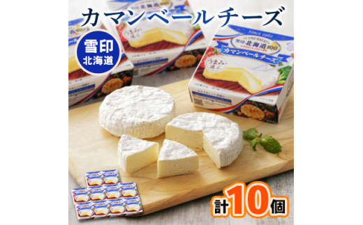 ＜毎月定期便＞雪印北海道 カマンベールチーズ 1箱(90g×10個入り)全3回【4014034】 1369220 - 北海道大樹町