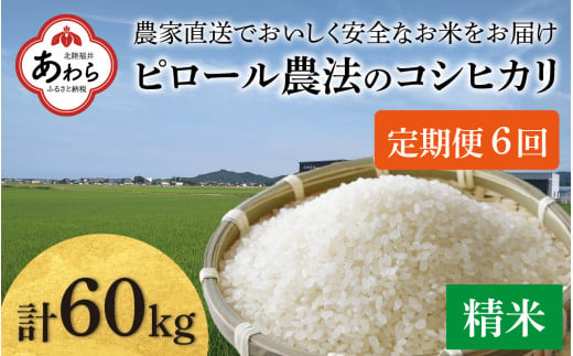 【先行予約】【令和6年産】《定期便6回》【ピロール米】ピロール農法のコシヒカリ 精米 10kg（5kg×2袋） / 一等米 福井県産 ブランド米 ご飯 白米 お米 コメ 新鮮 小分け 定期便 6回 新米 ※2024年9月下旬より順次発送 1365559 - 福井県あわら市