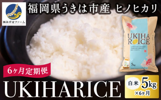 【6ヶ月定期便】みずほファーム UKIHA RICE (白米5kg×6ヶ月) 1111943 - 福岡県うきは市