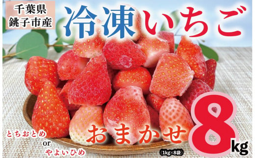 冷凍いちご 8kg （ 1kg × 8 ） とちおとめ やよいひめ 冷凍イチゴ  神原いちご園 銚子産 苺 いちご イチゴ 真空パック 冷凍 冷凍フルーツ カットフルーツ フルーツ ジャム スムージー 便利 簡単 小分け 個別冷凍 真空 冷凍品 長期保存 お取り寄せ グルメ 食品 冷凍食品 大容量 送料無料 ギフト 贈物 贈り物 プレゼント千葉県 銚子市 1377036 - 千葉県銚子市