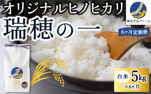 【6ヶ月定期便】みずほファーム オリジナルヒノヒカリ「瑞穂の一」(白米5kg×6ヶ月) 1111940 - 福岡県うきは市