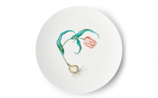 [伊万里焼/畑萬陶苑]Restaurant MAISON(Paris)φ29cm Plate[Tulip]