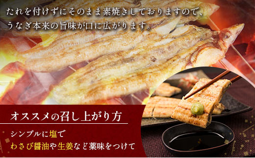宮崎県新富町のふるさと納税 お中元対応「玄人の一品」うなぎ 白焼き ギフト 2尾（110～150g/1尾あたり）宮崎県産鰻 蒲焼きタレ付（50ml×1本）配送日指定可 国産 有頭 熨斗 贈答品【N63-25】