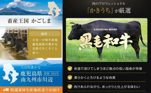 鹿児島県南九州市のふるさと納税 071-13 期間限定!鹿児島黒毛和牛サーロインステーキ250g×2枚