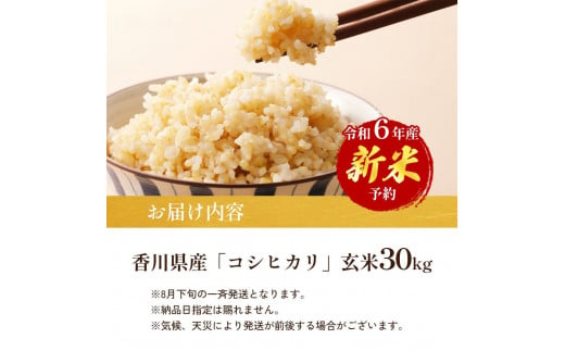 №4631-2586]令和6年産 新米「コシヒカリ」30kg（玄米） - 香川県東かがわ市｜ふるさとチョイス - ふるさと納税サイト