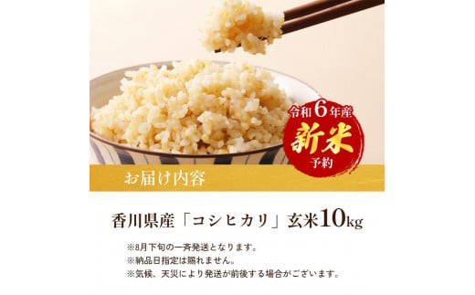 №4631-2585]令和6年産 新米「コシヒカリ」10kg（玄米） - 香川県東かがわ市｜ふるさとチョイス - ふるさと納税サイト