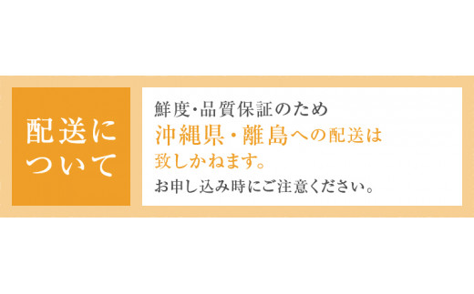 勝沼産デラウェア 約2kg【2024年発送】（UF）A07-160 - 山梨県甲州市｜ふるさとチョイス - ふるさと納税サイト