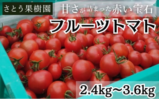 トマト フルーツトマト  2.4kg～3.6kg 2箱 フルティカ 藤沢市 野菜 とまと ミニトマト ハウス栽培 1370072 - 神奈川県藤沢市