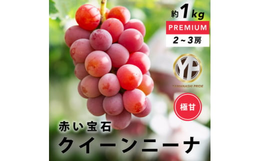 赤い大玉ぶどう 希少品種 クイーンニーナ 約1kg YAMANASHI PRIDEプレミアム【1517215】 1369953 - 山梨県山梨市