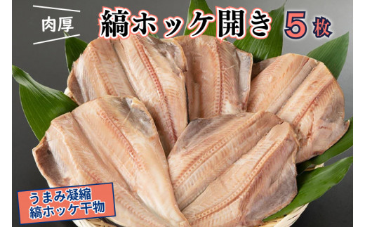 干物 縞ホッケ開き 5枚 特大 肉厚 カジマ ほっけ 縞ほっけ ホッケ 焼き魚