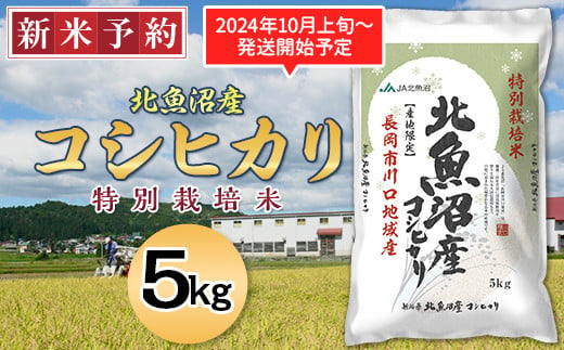 6S05-1北魚沼産コシヒカリ特別栽培米5kg（長岡川口地域）