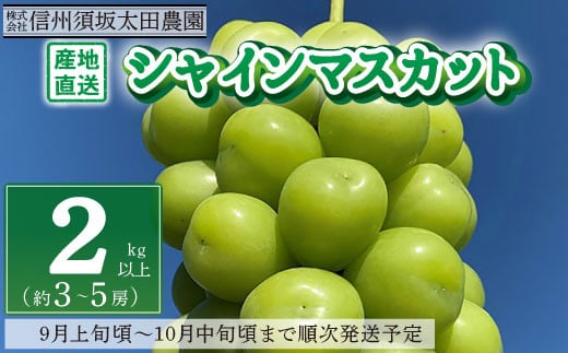 [No.5657-2626]産地直送 シャインマスカット2kg以上 (約3～5房) 《株式会社 信州須坂太田農園》■2024年発送■※9月上旬頃～10月中旬頃まで順次発送予定 1060161 - 長野県須坂市