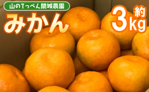 山のてっぺん間城農園のみかん3kg - フルーツ 果物 柑橘 みかん フルーツ 柑橘 期間限定 ms-0045