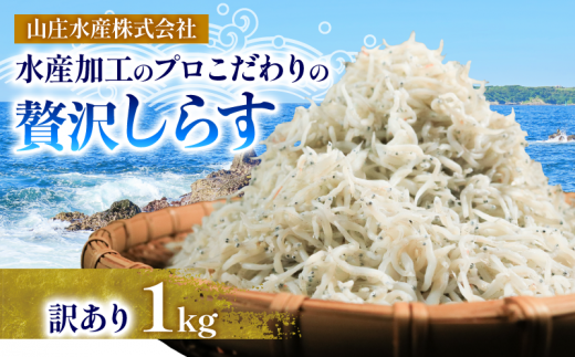 しらす 1kg 訳あり 冷凍 ちりめん かちり しらす干し 減塩 極み ごはん 丼 パスタ チャーハン サラダ 魚 料理 山庄 愛知県 南知多町 師崎 1369806 - 愛知県南知多町