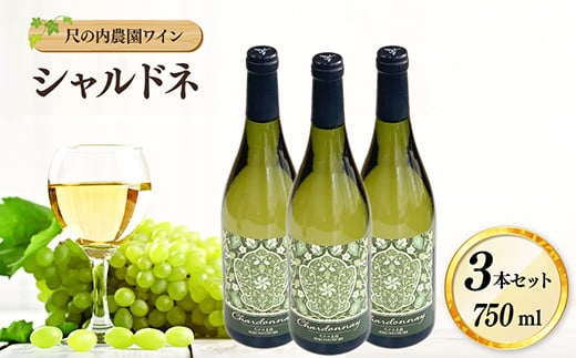 尺の内農園ワイン シャルドネ 3本セット【島根県 雲南市 白ワイン 750ml 3本 葡萄 ぶどう 爽やか 飲みやすい ギフト 贈答】 1441151 - 島根県雲南市