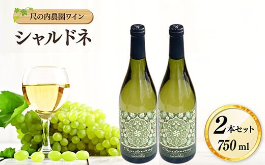 尺の内農園ワイン シャルドネ 2本セット【島根県 雲南市 白ワイン 750ml 2本 葡萄 ぶどう 爽やか 飲みやすい ギフト 贈答】 1441152 - 島根県雲南市