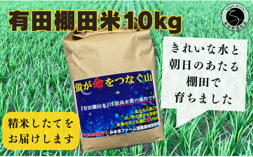 佐賀県有田町のふるさと納税 【2024年9月末～ 新米を発送！】みゆきファーム 有田 棚田米 10kg 精米したてを生産農家から直送！食味ランキング最高ランクの特A品種（さがびより/夢しずく） K14-10